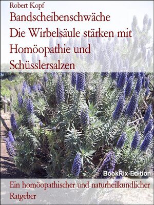 cover image of Bandscheibenschwäche          Die Wirbelsäule stärken mit Homöopathie und Schüsslersalzen